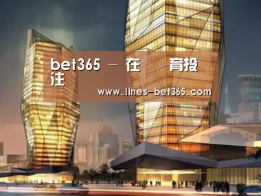 案例展示三