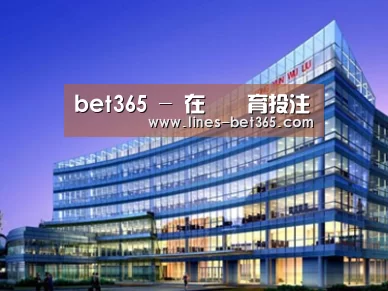 案例展示五