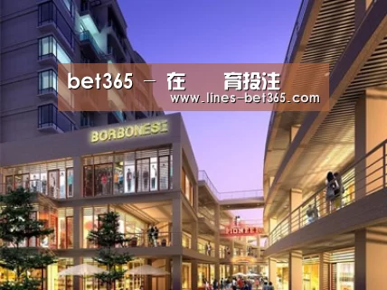 案例展示一