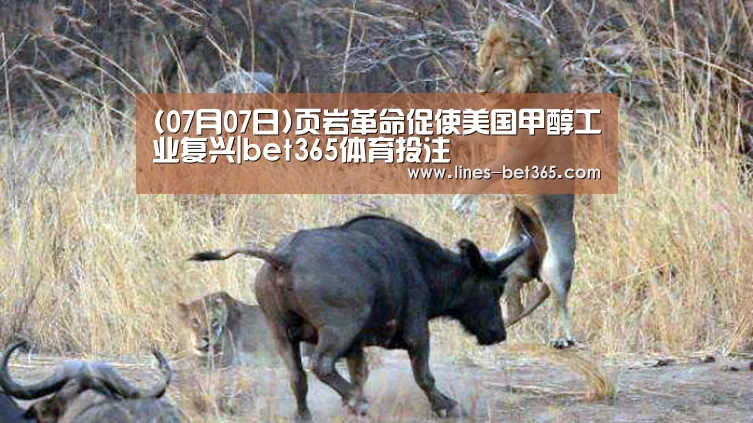 bet365亚洲体育